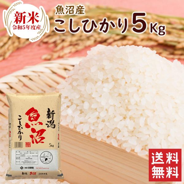 新米 魚沼産（新潟県）コシヒカリ 5kg（5kg×1袋）  送料無料 令和5年度産 魚沼産 新潟県産 精米 お米 5kg（北海道・沖縄別途送料）（配達日・時間指定は不可）