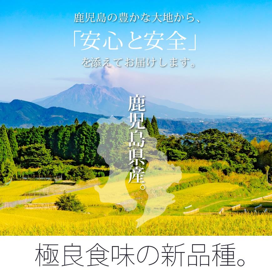  お米 5kg イクヒカリ 5kg×1袋  令和5年産  お祝い お歳暮 ギフト お取り寄せグルメ　 鹿児島県