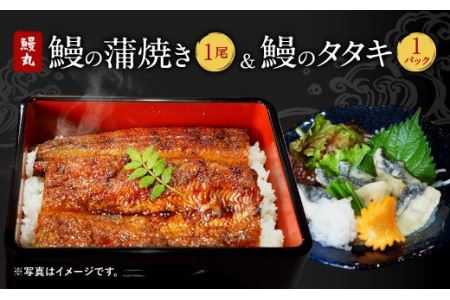 鰻丸 九州産鰻 蒲焼1尾 鰻のタタキ1pcセット うなぎ ウナギ