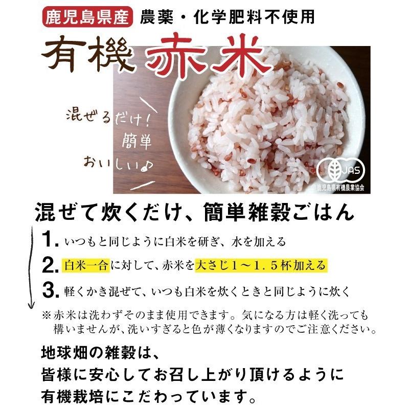 黒米 赤米 選べる有機米３袋セット (メール便送料無料) 300g×3袋 合計900g 古代米 有機栽培 有機JAS 雑穀米 国産 無添加 無着色 紫米