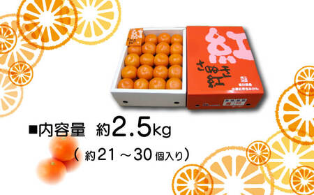 年内発送 みかん 小原紅早生みかん  金時紅  約2.5キロ 化粧箱入り 早生 みかん ご贈答用 香川 みかん さぬき市 みかん 12月出荷 みかん 年内最終28日 みかん