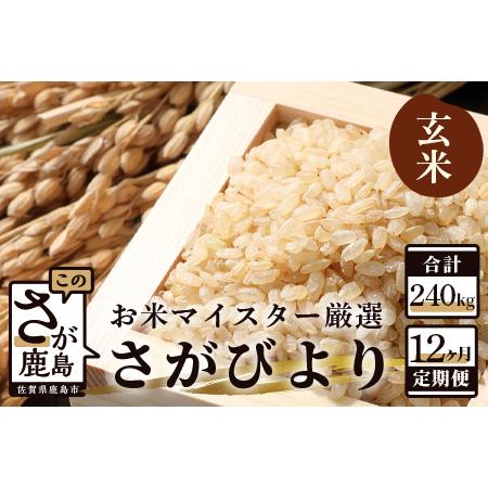 ふるさと納税  《12ヶ月定期便》鹿島市産さがびより　玄米（毎月２０ｋｇ×１２回） V-12 佐賀県鹿島市