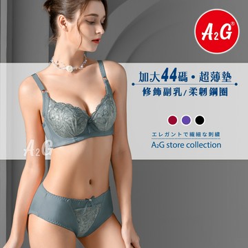 【A2G】隔日到貨【D罩杯、加大44碼】台灣出貨 調整型內衣 高脅邊 側邊加高 雙色刺繡 薄杯襯墊 集中包覆 1358