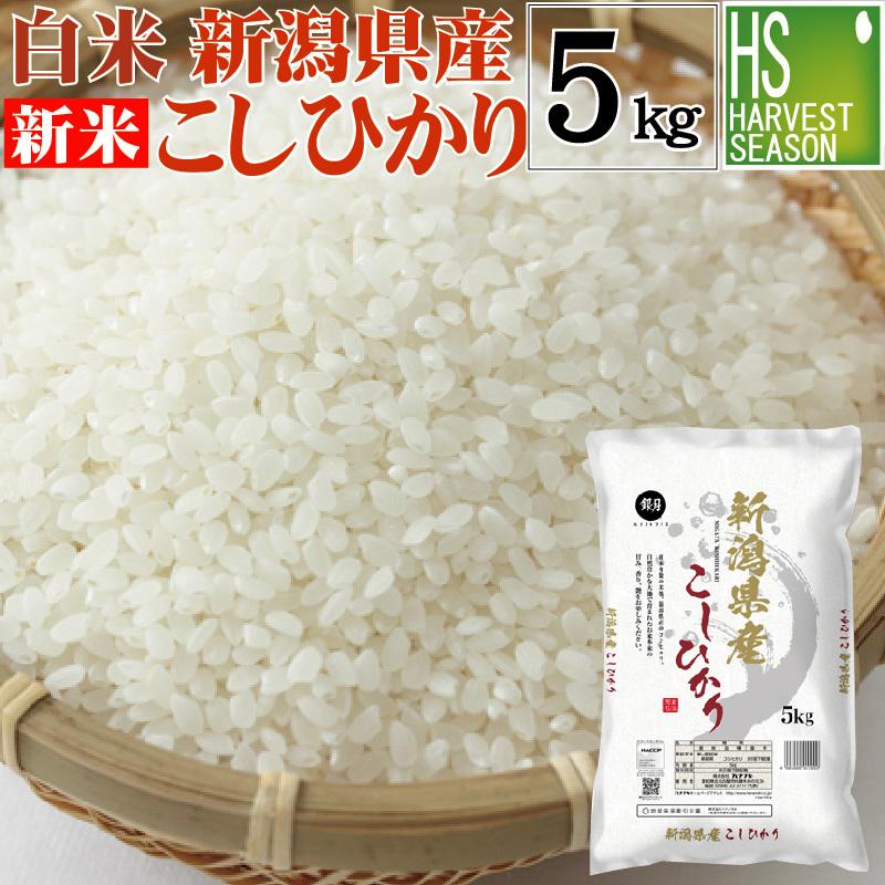 新米 令和5年産 新潟県産 コシヒカリ 5kg 米 精白米 白米 送料無料