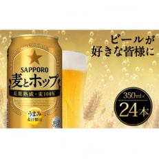 麦とホップ350ml×24本(A-96) 全8回