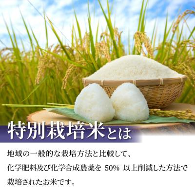 ふるさと納税 東御市 東御市産の特別栽培米「風さやか」約10kg