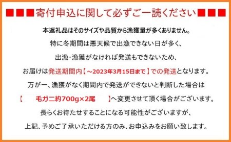 富山産　毛がに約900g×1尾（孫七タグ付き）