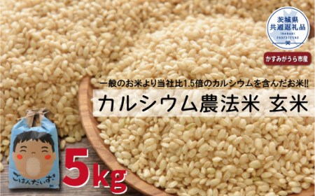 FD-2 カルシウム農法米　玄米5kg（茨城県共通返礼品・かすみがうら市産）