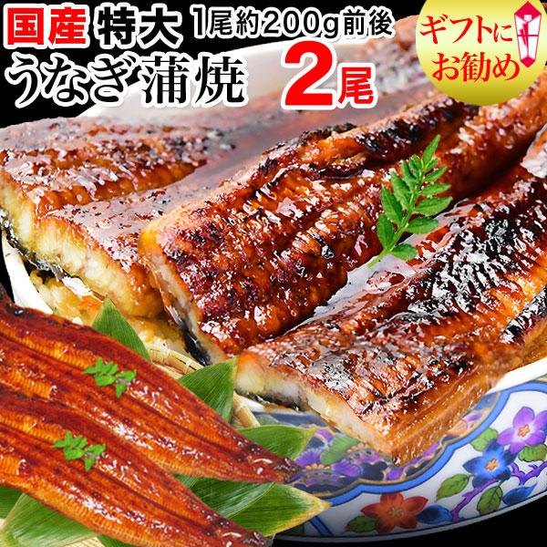 ギフト うなぎ 蒲焼き 国産 鰻 うなぎ蒲焼き 九州産 2尾 特大(約180〜200g前後×2尾)鰻 送料無料 グルメ 魚介 魚