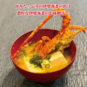 伊勢海老 2kg 以上 冷凍 鍋 刺身 高級 伊勢エビ イセエビ 高知県 須崎市 伊勢海老 刺身伊勢 海老蒸し 伊勢海老 海鮮丼 伊勢えび おさしみ 伊勢えび カルパッチョ 伊勢えび 粉チーズ 伊勢えび バジル 伊勢海老 フレンチ 伊勢エビ イタリアン 伊勢エビ お正月 伊勢エビ おせち 伊勢エビ 贅沢 伊勢えび ぷりぷり 伊勢えび 丸ごと 伊勢えび 食べたい  伊勢海老 懐石