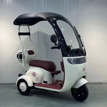免運 可開票 新國標電動三輪車成人家用代步車女性接送孩子老年人電瓶車帶棚 快速發貨