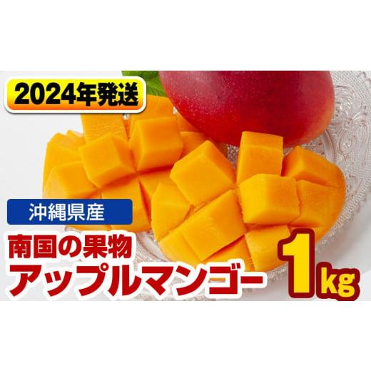 ふるさと納税 沖縄県 南風原町 南国の果物　沖縄県産アップルマンゴー　1kg