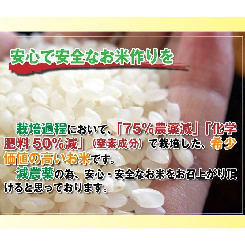 当日精米 お米 10kg コシヒカリ 7分づき 5kg×2袋 丹波ささ山産 特別栽培米 7.5割農薬減 兵庫県 特A 一等米 令和4年産