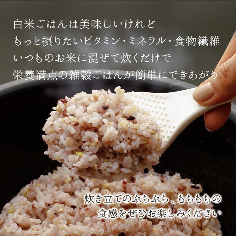 雑穀米 国産 300g 三十二種 雑穀米300g はと麦 もち麦 雑穀 ミックス もちきび もちあわ 発芽玄米 もち玄米 (D)