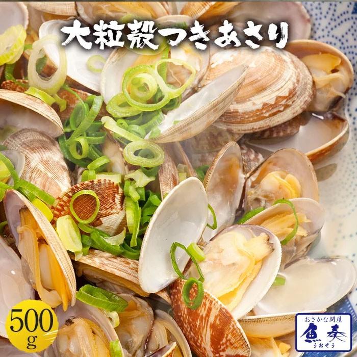 大粒あさり貝 殻つき 500g アサリ 浅利 同梱推奨 酒蒸し 味噌汁 吸い物 あさりバター パスタ BBQ