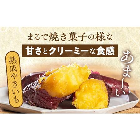 ふるさと納税 熟成やきいも＆熟成紫蜜いもの食べ比べセット1kg 紫芋 新品種 濃厚な甘さ 宮崎県宮崎市