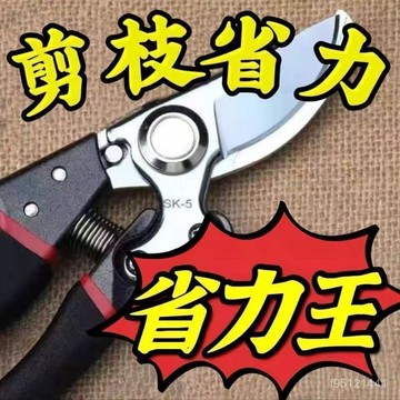 🚚台灣12H🚚原裝德國進口SK5強力園藝修枝剪新款園林家用花枝園藝剪省力款 園藝剪 園林剪 修枝剪57VG