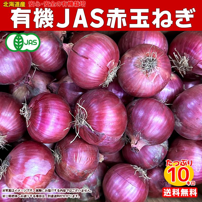 有機赤玉ねぎ 10kg箱 有機ＪＡＳ