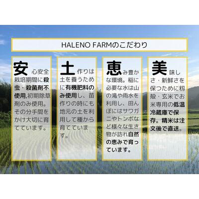 ふるさと納税 優良金賞受賞米　きぬむすめ30kg（10kg×3回）　23051-01 島根県松江市