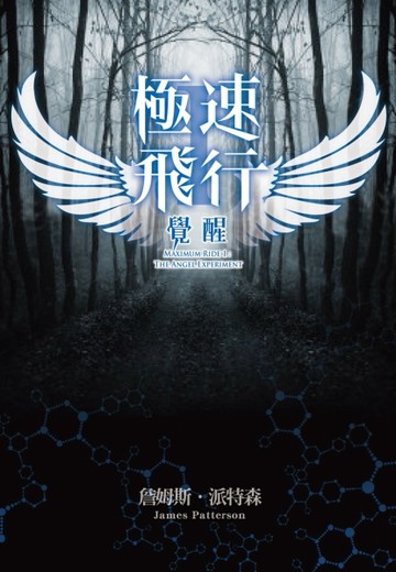 極速飛行（1）：覺醒[二手書_良好]