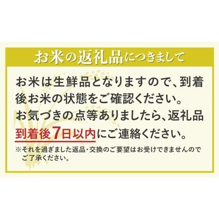 ふるさと納税 《先行予約》令和4年産 こしひかり 新米 5kg×6か月 定期便 合計30kg 特別栽培米 若手農家のこだわりのお米 池本農園 6回［Q10.. 岐阜県飛騨市