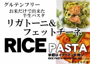 ライスパスタ 半生パスタ リガトー二（ショート） フェットチーネ（平麺） 各3食