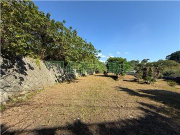 G14陽明山仰德大道農舍土地｜台北市士林區至善段四小段