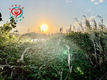 專-大園西濱內海墘農地同心圓玲子彩瑄｜桃園市大園區內海墘段