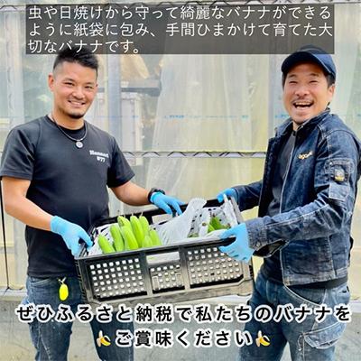 ふるさと納税 亀岡市 京都はんなりばなな　国産バナナ5本セット