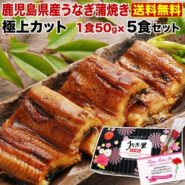 ポイント5倍 母の日 プレゼント グルメ うなぎ  鹿児島産 ブランド鰻 カット蒲焼き5食  ギフトBOX お洒落な専用ギフトBOXでお届け 魚介類 クール