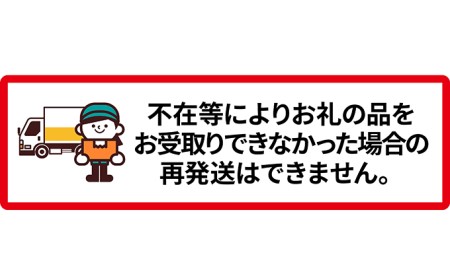 先行予約 2024年7月発送 北海道 仁木町産 いちご「 天使のいちご (登録商標)AE(エンジェルエイト)」(M30粒) 今野農園