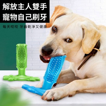 ☀️貓狗市集☀️寵物潔牙棒 潔牙骨 寵物潔牙 磨牙 清潔牙齒 寵物玩具 狗玩具