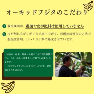 バナナ 1.5kg 以上 冷凍 有機栽培 無農薬 国産 高知 初  高知県 須崎市