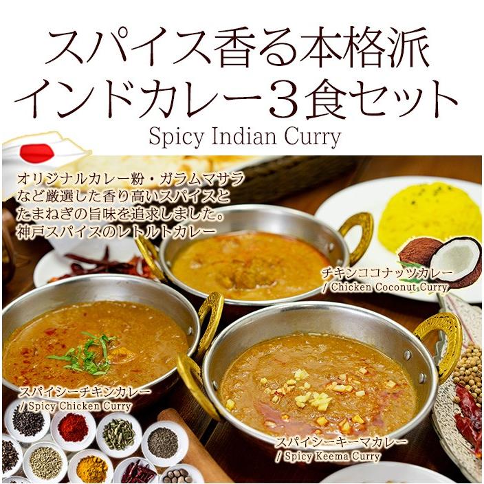 カレー レトルト スパイス香る本格派 インドカレー３食セット簡易包装 送料無料