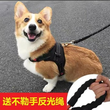 ⚡免運可開發票⚡狗狗牽引繩背心式胸揹帶中型大型犬遛狗金毛拉布拉多泰迪狗鏈狗繩特惠