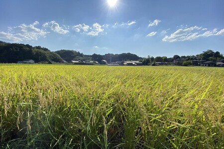 かに殻肥料で造る 特別栽培 丹後コシヒカリ 2kg