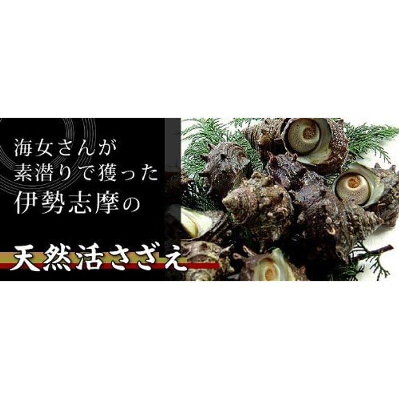 活サザエ 大サイズ 1ｋｇ（7個）