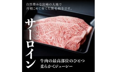 ※令和6年2月より順次発送※宮崎県産黒毛和牛 牛肉 サーロインステーキ 400g 肉 牛肉  牛 国産牛肉 牛 九州産牛 牛 和牛 ステーキ 牛肉 送料無料牛肉 牛