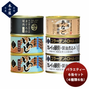 木の屋石巻水産 ６缶バラエティーセット  新発売 歳暮 ギフト 父の日