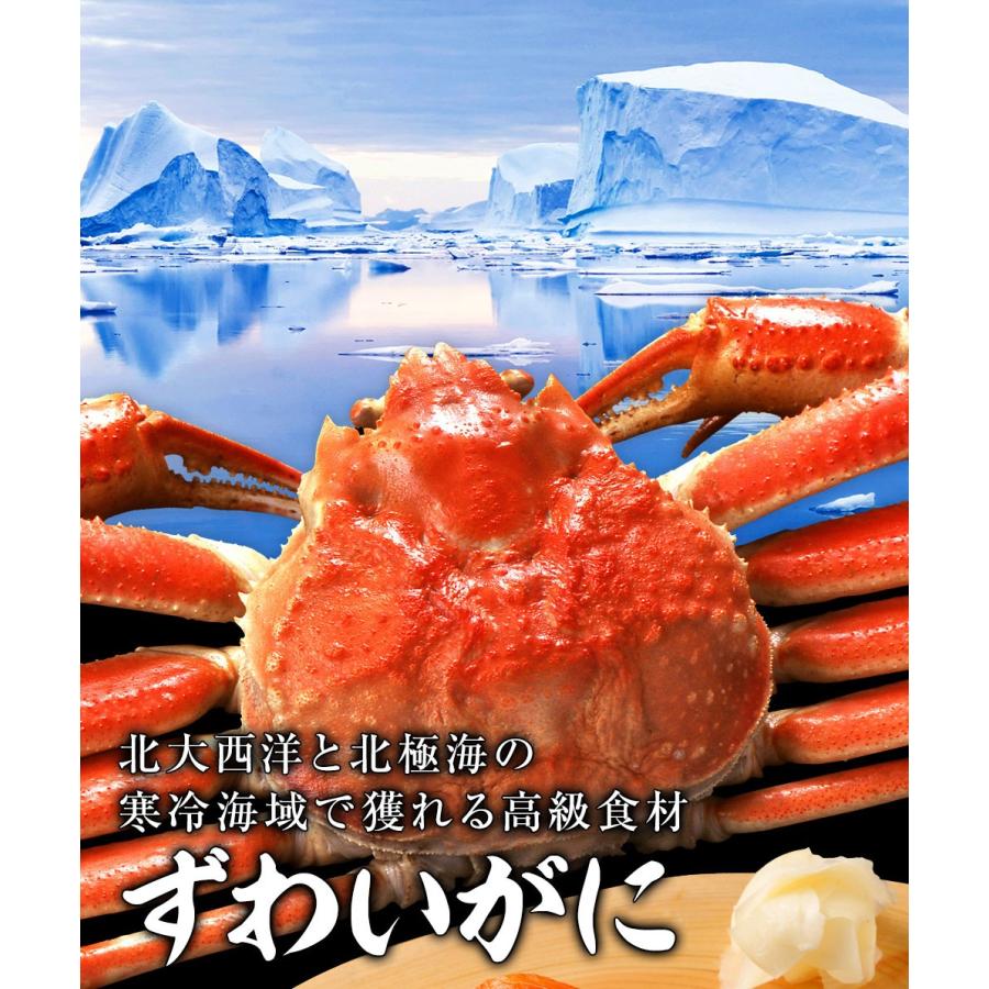 ポイントアップ 年末予約受付中 カニ かに 蟹 ズワイガニ ボイル 棒肉 300g 36本入り 1パック 蟹 訳あり 格安