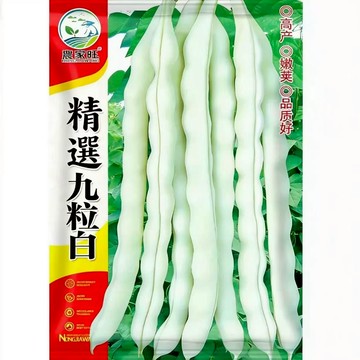 【原廠包裝】九粒白種子（Jiu Li Bai）扁蒲蒲瓜種子 絲瓜蒲品種 結果率高 庭院爬藤蔬菜 食用嫩果 天然清潔