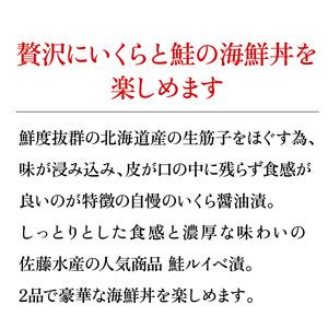 ふるさと納税 14-044 いくら醤油漬・鮭ルイベ漬詰合せ 北海道石狩市