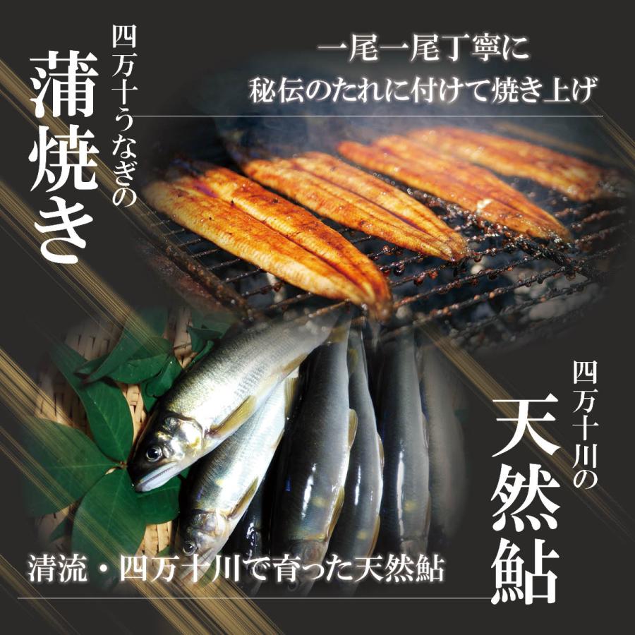 四万十うなぎ蒲焼き3本（タレ付き）と天然鮎2匹セット　高知県四万十から産地直送