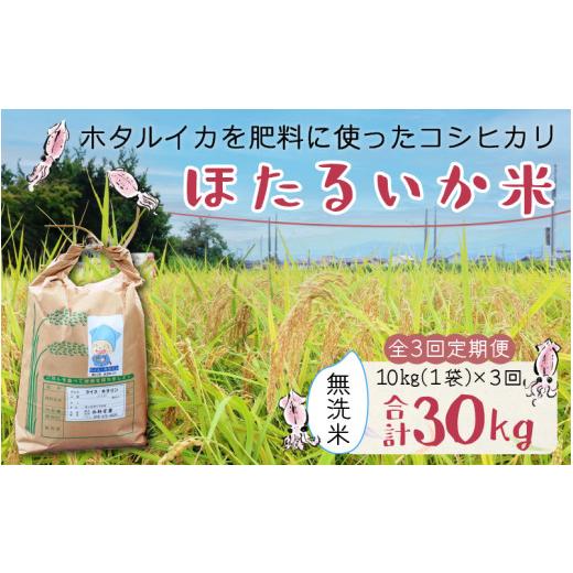 ふるさと納税 富山県 滑川市 ほたるいか米（無洗米10kg）×3回 計30kg