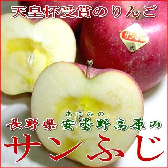 安曇野 訳あり サンふじりんご 約5kg 18〜25個入り 送料無料  長野産 少しキズや変形などがあります。蜜入りは保障いたしかねます|サンフジ わけあり