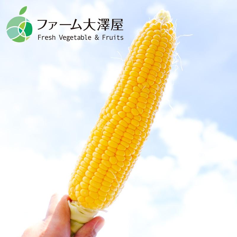 信濃町産ゴールドラッシュ　とうもろこし　3L　5本　約1.7Kg　長野県信濃町産　2023　フルーツ　ギフト