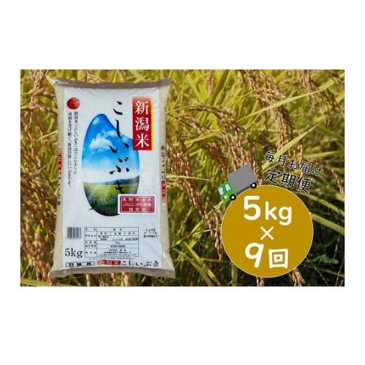 ふるさと納税 新潟県 見附市 令和5年産 新潟県産 こしいぶき  5kg（精米）