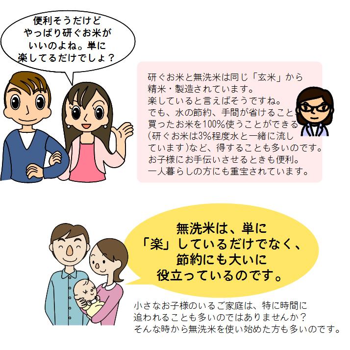 米 2kg 無洗米 送料無料 九州産「心」 おためし レターパックなどで発送します