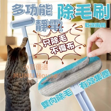 🚀隔日到貨🚀靜電除毛刷 貓條刷 高效除毛清潔刷 除毛清潔專家 長柄除毛神器 刮毛器 可水洗黏毛器 衣物除塵刷 寵物除貓毛