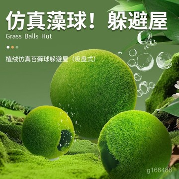 🔥臺灣出貨🔥魚小剛仿真藻球苔蘚球魚缸躲避屋吸盤式鸚鵡繁殖罐産卵蝦魚缸擺件